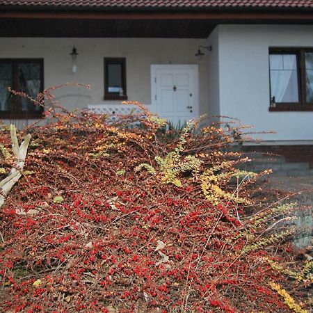 Pokoje Nad Mlynem Стрикув Екстер'єр фото